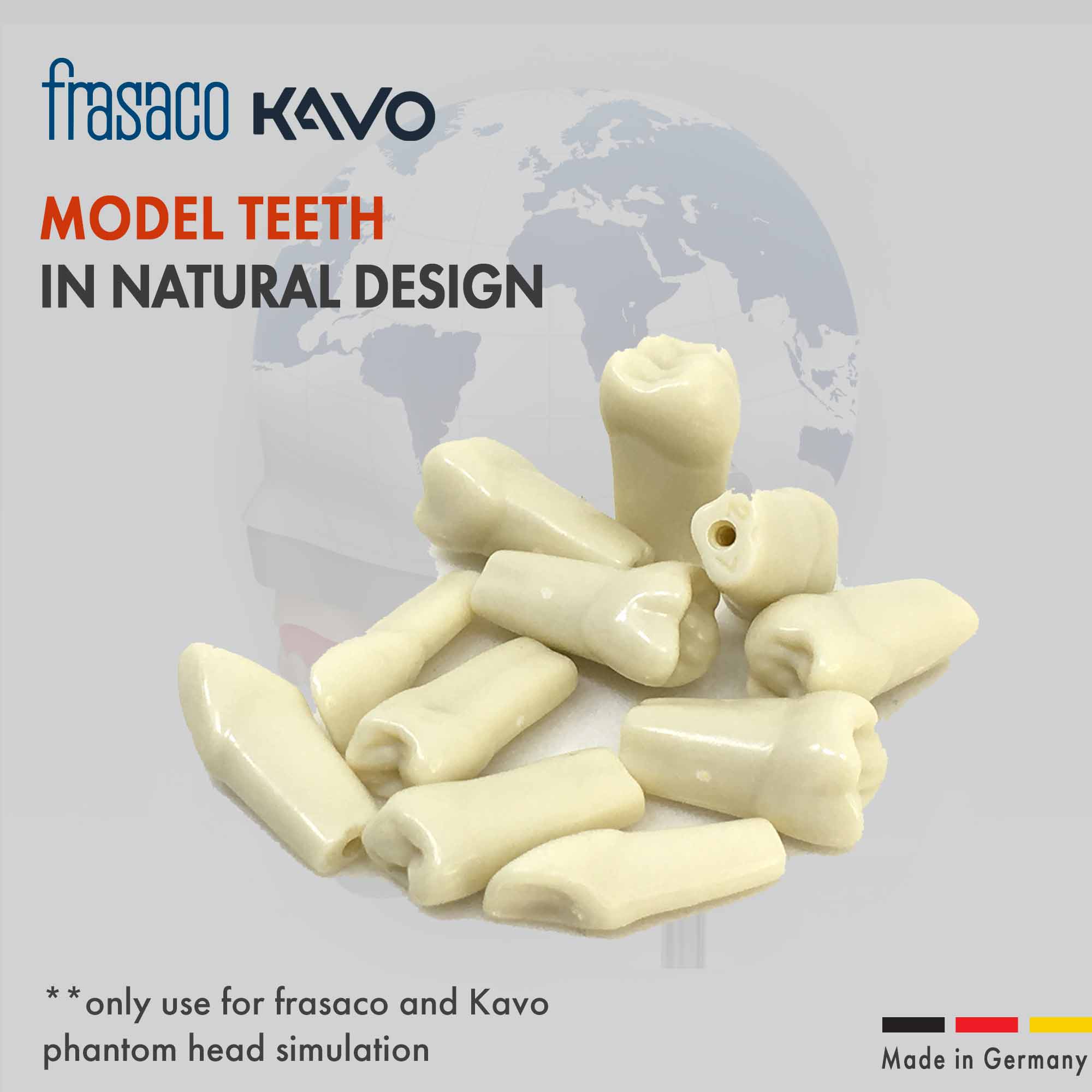 FRANSACO-on-website-lq