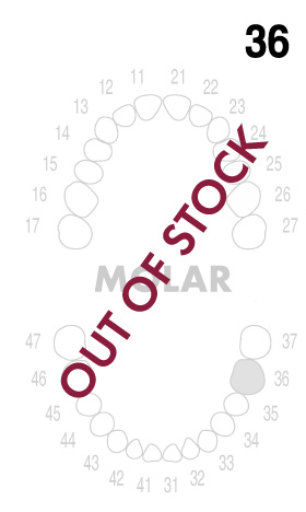 molar3.6-out-of-stock