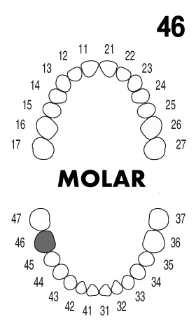 molar4.6