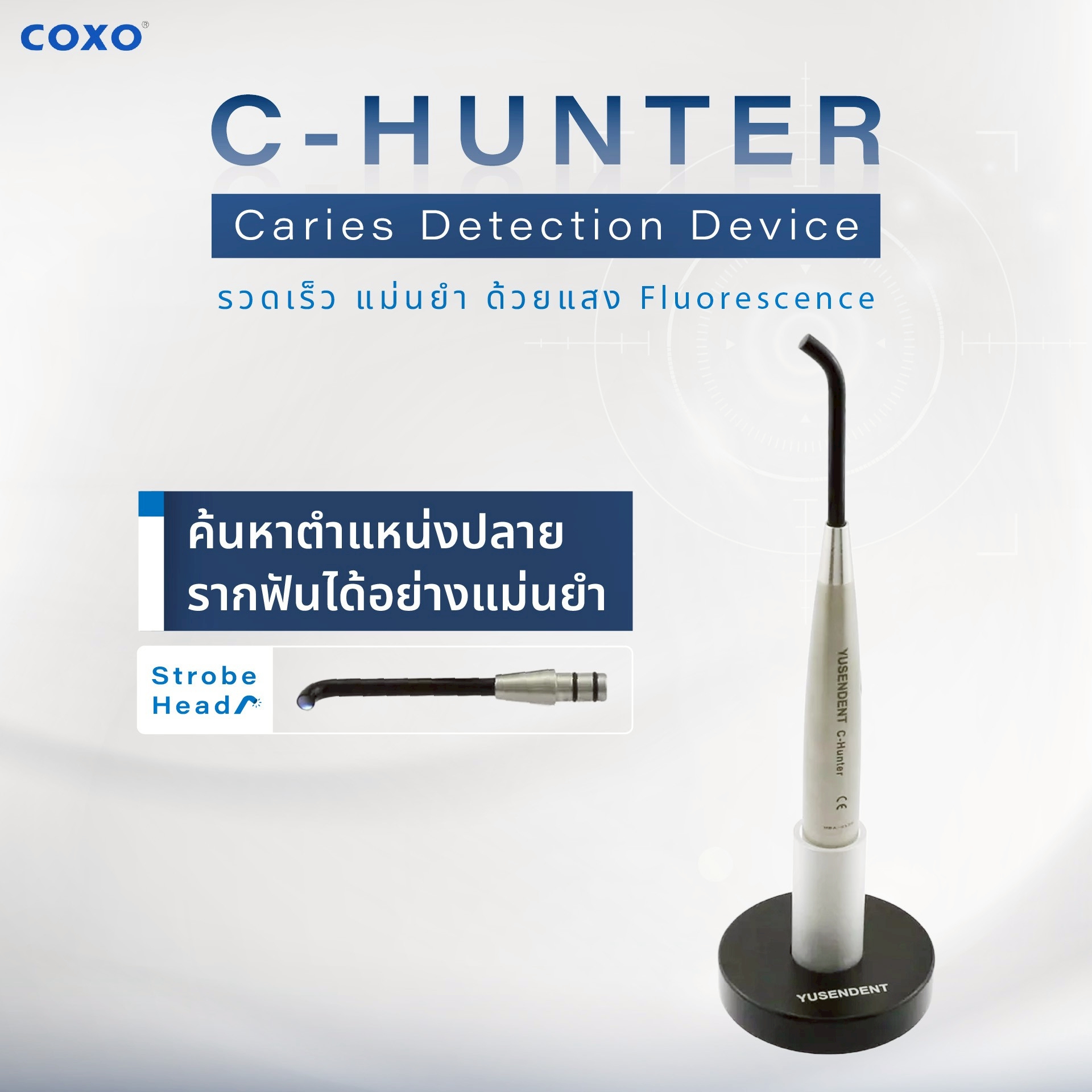 LINE_ALBUM_WEB - COXO (C-HUNTER)_250610_1